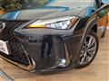 2019 Lexus Other