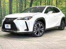 2021 Lexus Other
