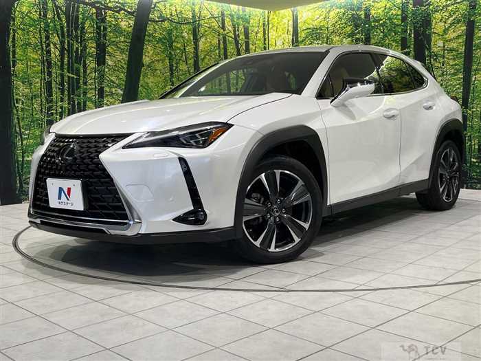 2023 Lexus Other