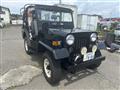1995 Mitsubishi Jeep