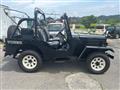 1995 Mitsubishi Jeep