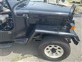 1995 Mitsubishi Jeep