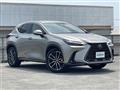 2022 Lexus NX