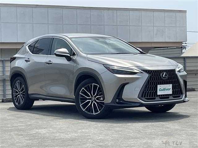 2022 Lexus NX