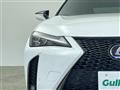 2020 Lexus UX