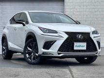 2018 Lexus NX