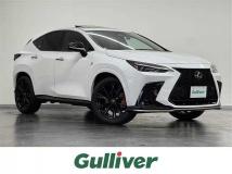 2022 Lexus NX