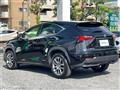 2015 Lexus NX