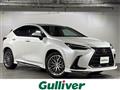 2021 Lexus NX