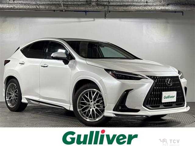 2021 Lexus NX