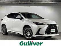 2021 Lexus NX