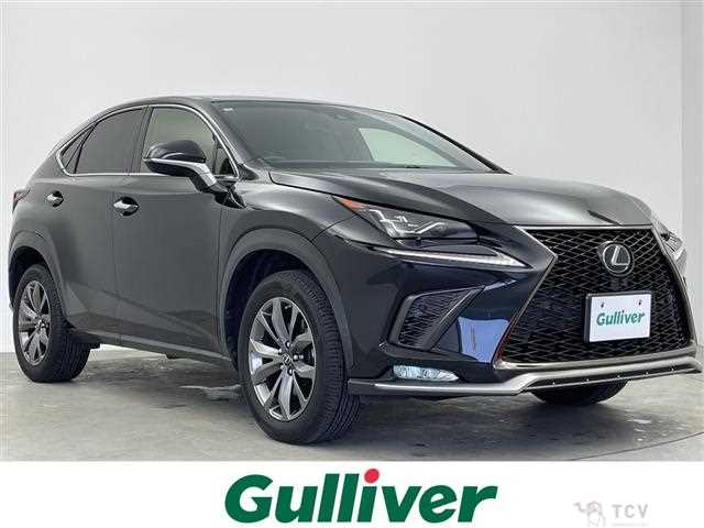 2018 Lexus NX