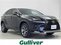2018 Lexus NX