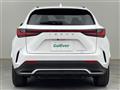 2024 Lexus NX