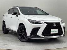 2024 Lexus NX