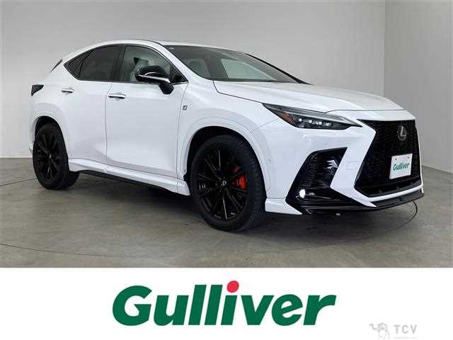 2021 Lexus NX