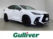 2021 Lexus NX