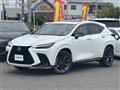 2024 Lexus NX