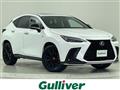2022 Lexus NX