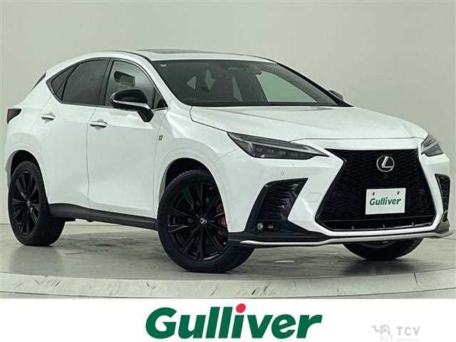 2022 Lexus NX