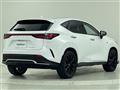 2022 Lexus NX