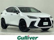 2022 Lexus NX