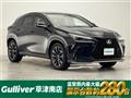 2023 Lexus NX