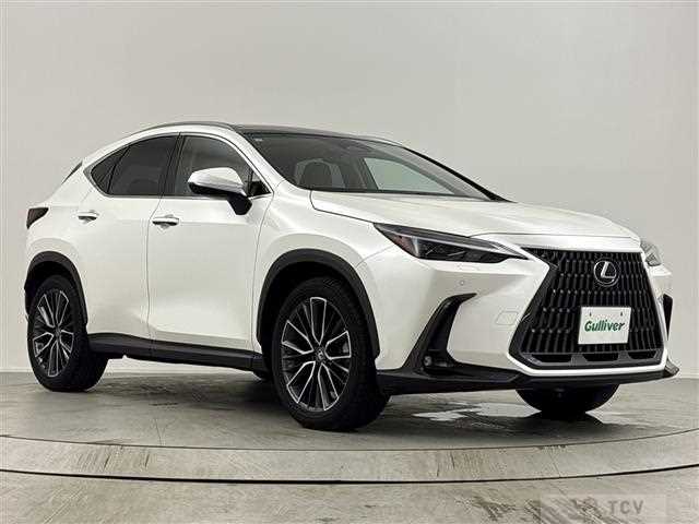 2023 Lexus NX