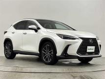 2023 Lexus NX