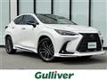 2024 Lexus NX