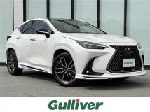 2024 Lexus NX