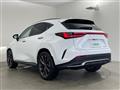 2021 Lexus NX