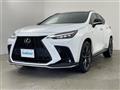 2021 Lexus NX