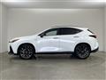 2021 Lexus NX