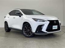 2021 Lexus NX