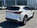 2022 Lexus NX