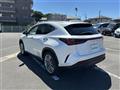 2022 Lexus NX