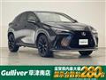 2025 Lexus NX