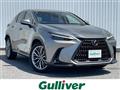 2022 Lexus NX