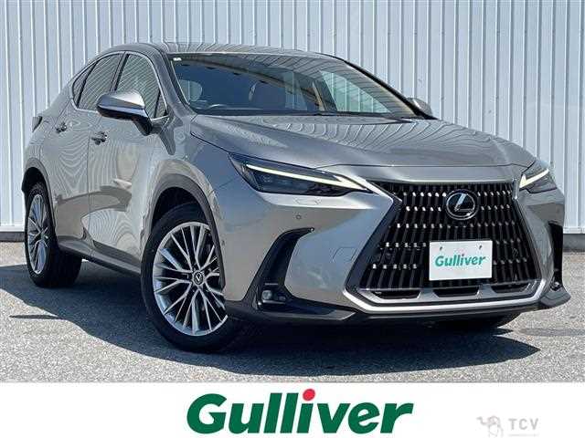 2022 Lexus NX