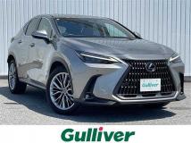 2022 Lexus NX