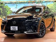 2025 Lexus RX