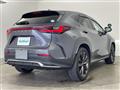 2022 Lexus NX