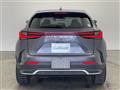 2022 Lexus NX