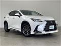 2022 Lexus NX