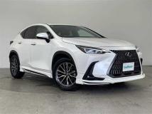2022 Lexus NX