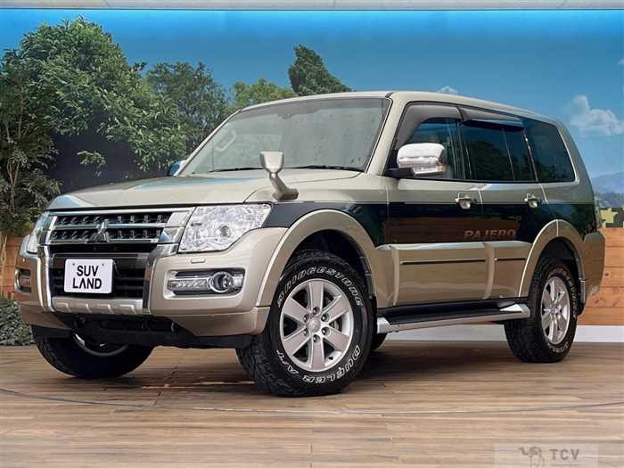2015 Mitsubishi Pajero