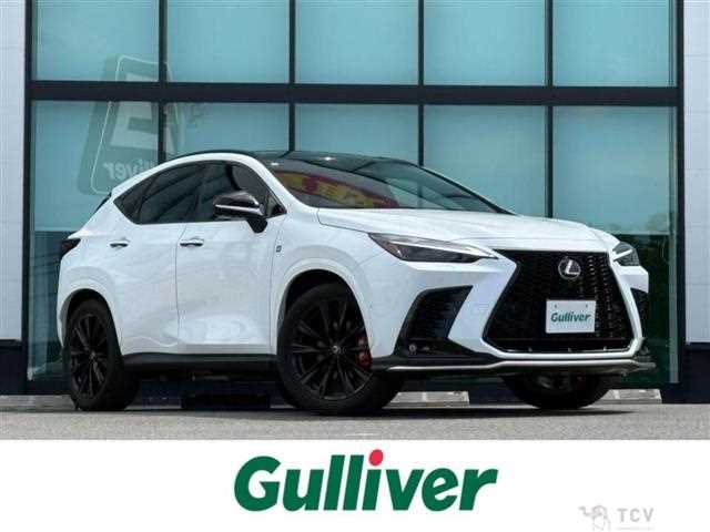 2025 Lexus NX