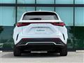 2025 Lexus NX