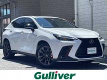 2023 Lexus NX